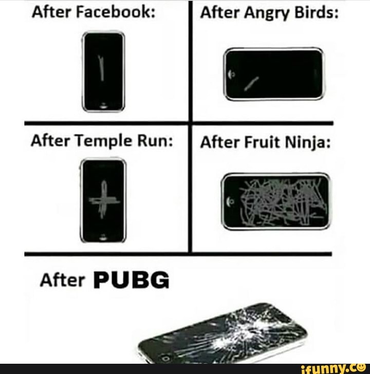 After Facebook: After Angry Birds:
After Fruit Ninja: After Temple Run:
After PUBG