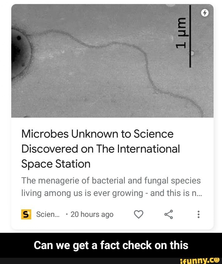 Microbes Unknown To Science Discovered On The International Space ...