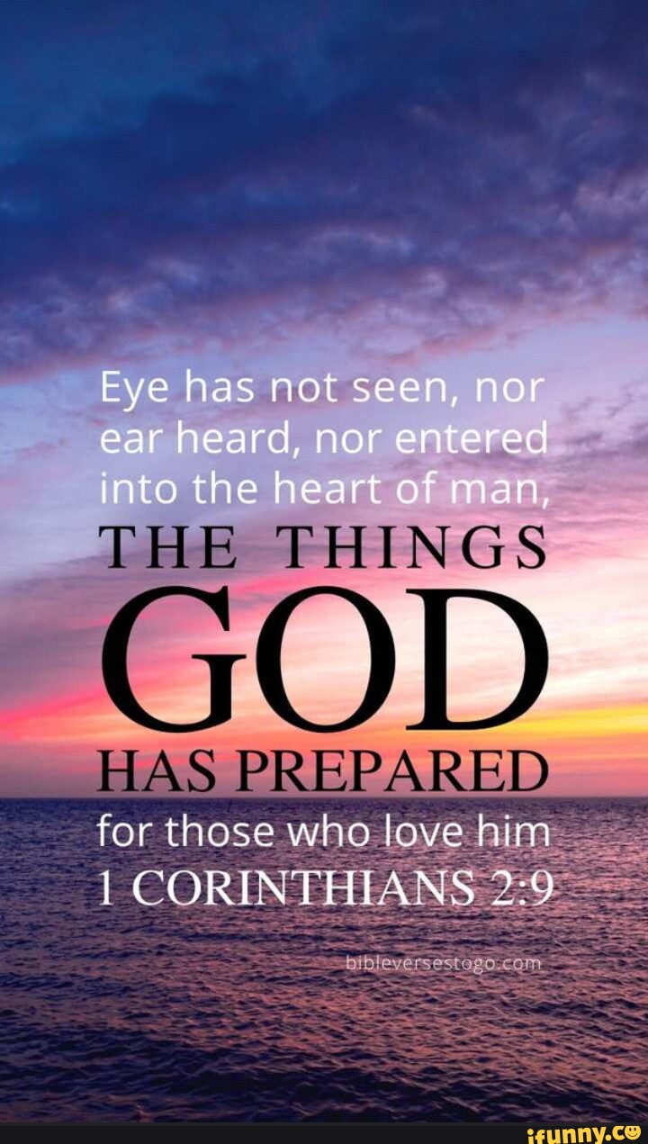 Eye has not seen, nor ear heard, nor entered into the heart of man, THE