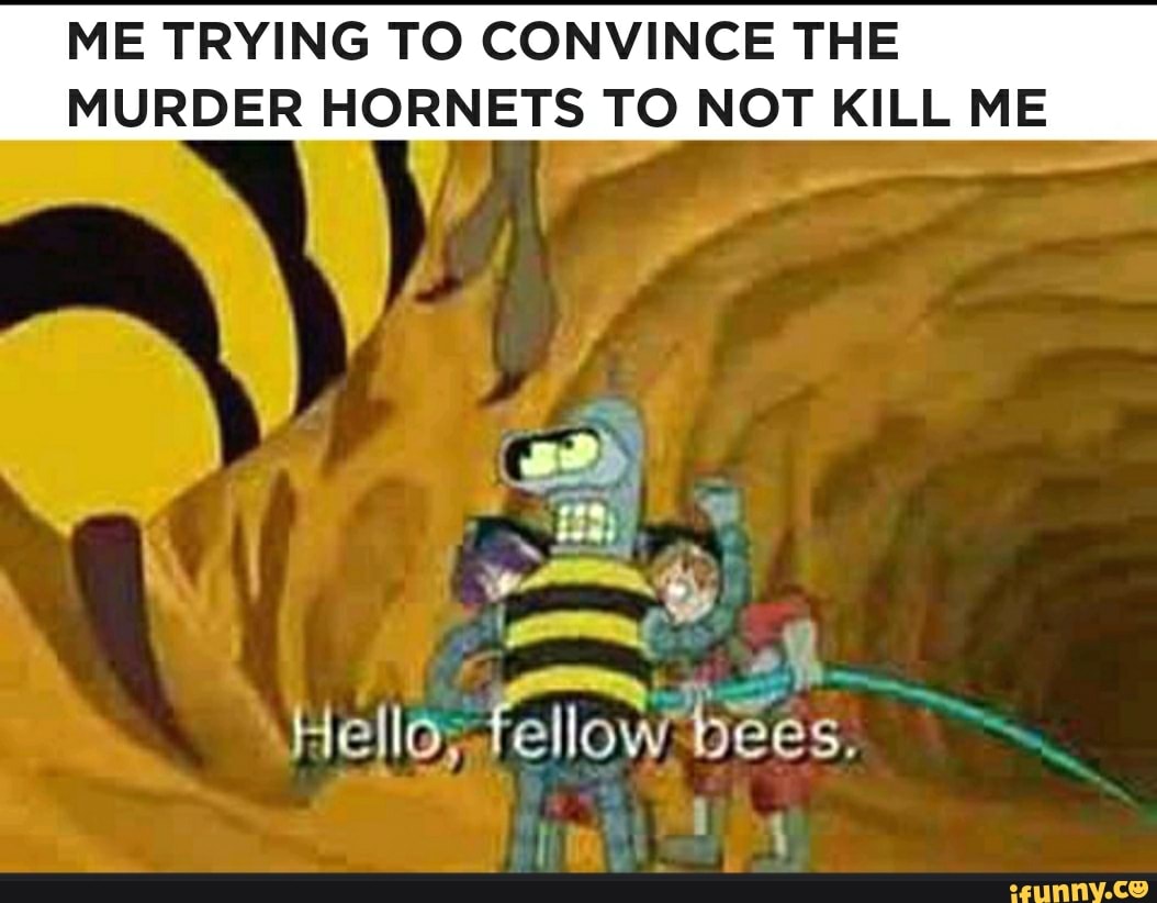 ME TRYING TO CONVINCE THE
MURDER HORNETS TO NOT KILL ME