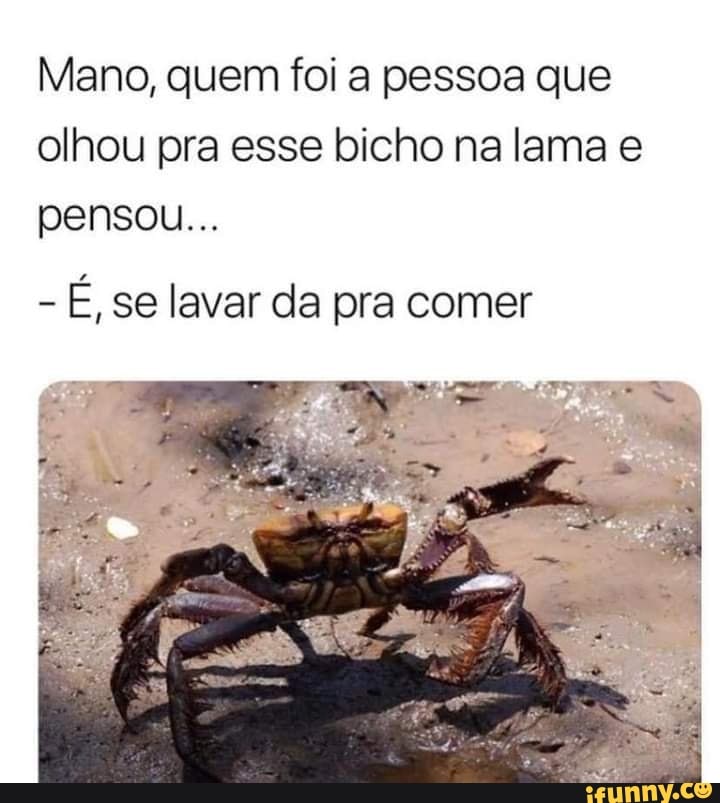 Mano, quem foi a pessoa que olhou pra esse bicho na lama e pensou...
- É, se lavar da pra comer