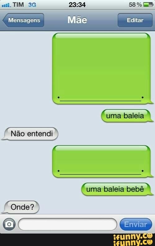 Não entendi
(uma baleia bebé À