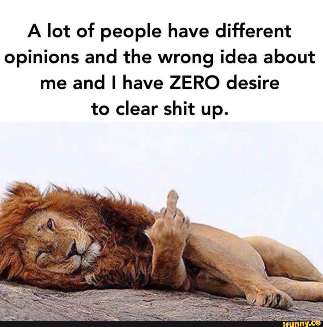 a-lot-of-people-have-different-opinions-and-the-wrong-idea-about-me-and