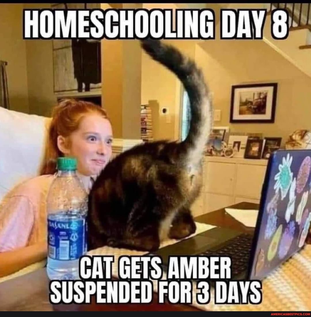 HOMESCHOOLING DAY
GAT GETS AMBER SUSPENDED FOR 3 DAYS