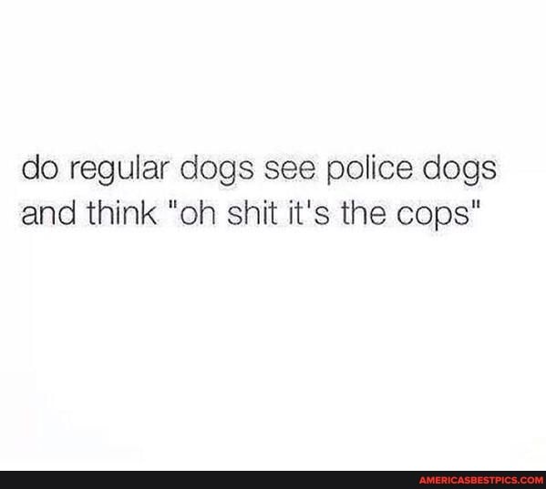 do regular dogs see police dogs and think "oh shit it's the cops"