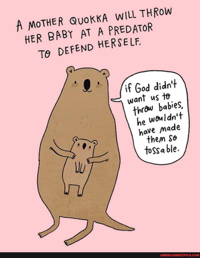 MoTHER ayokkA witt THROW
HER BABY AT PREDATOR p HERSELF.
Te DEFEN
if God dide't want us cou babieS, he wouldn't ove made them tossa ble-