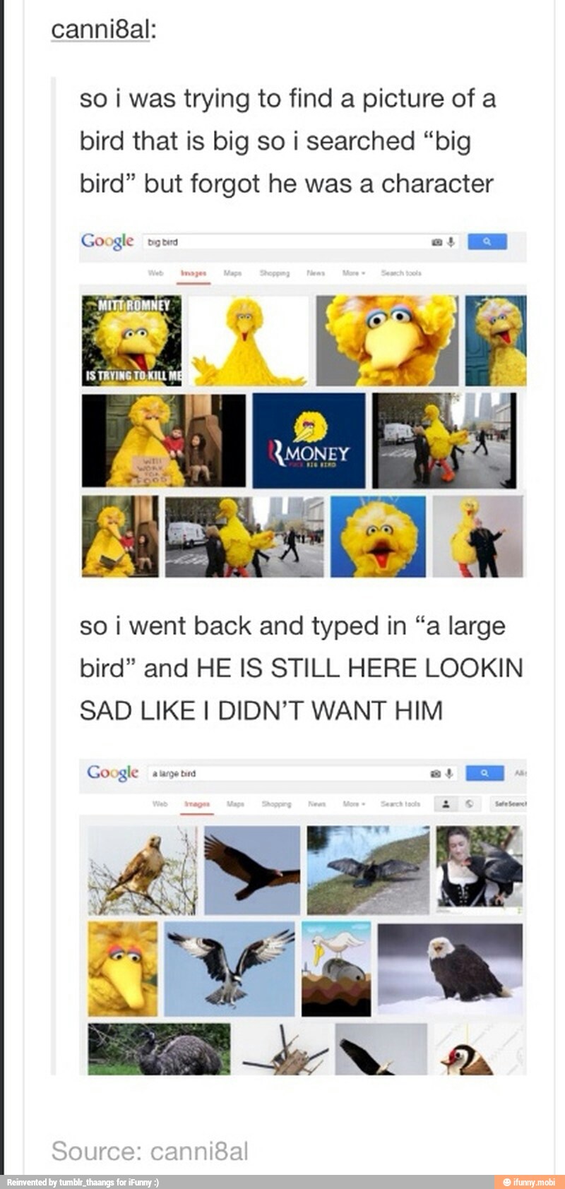 so i was trying to find a picture of a
bird that is big so i searched "big
bird" but forgot he was a character
Google votes crm a
I
so i went back and typed in "a large
bird" and HE IS STILL HERE LOOKIN
SAD LIKE I DIDN'T WANT HIM
Google aure tia
I