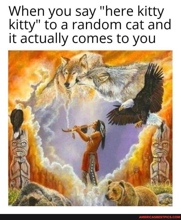 When you say "here kitty kitty" to a random cat and it actually comes to you