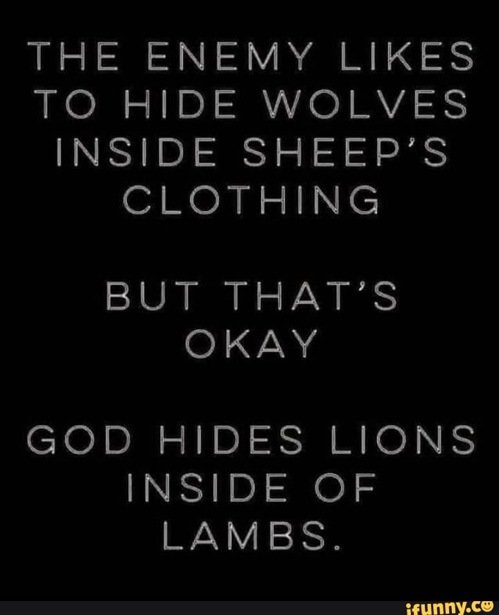 THE ENEMY LIKES TO HIDE WOLVES INSIDE SHEEP'S CLOTHING BUT THAT'S OKAY ...