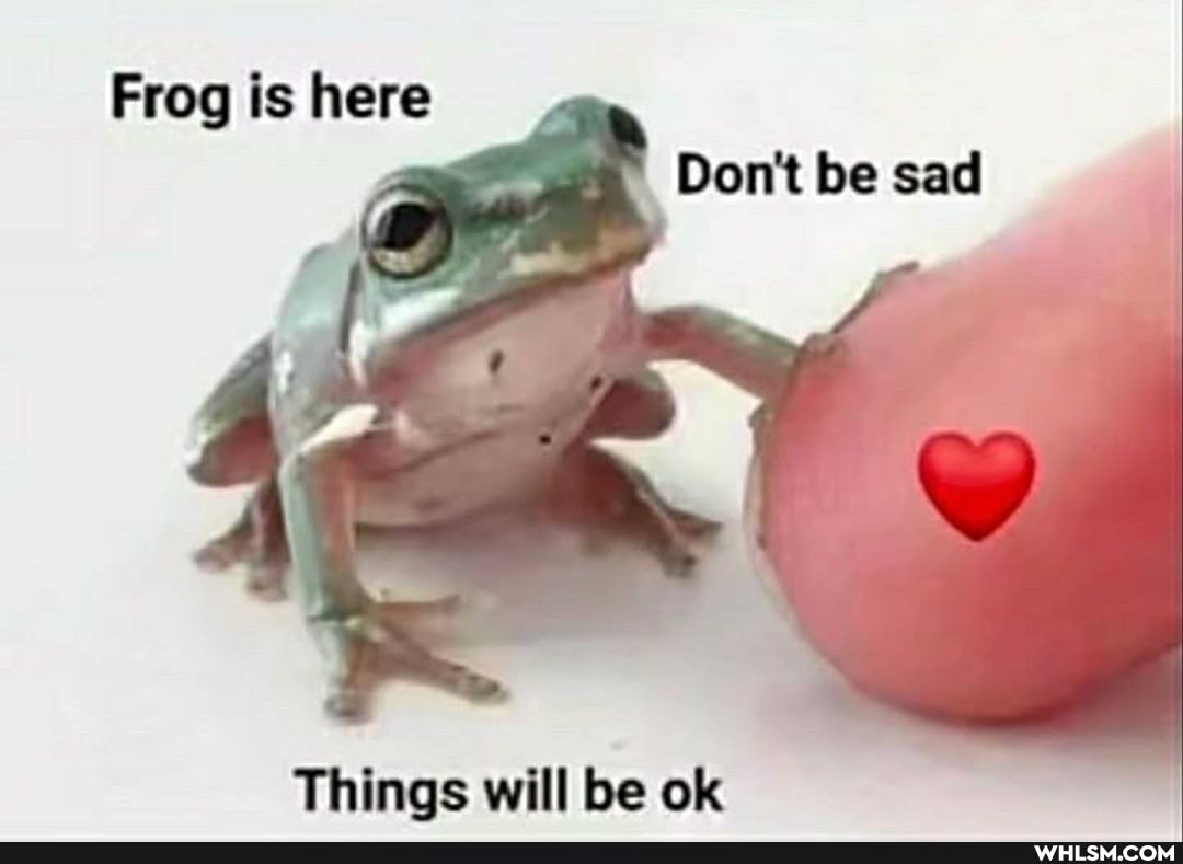 Frog is here
Don't be sad
Things will be ok