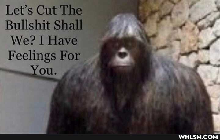 Let's Cut The
Bullshit Shall
We? I Have
Feelings For
You.