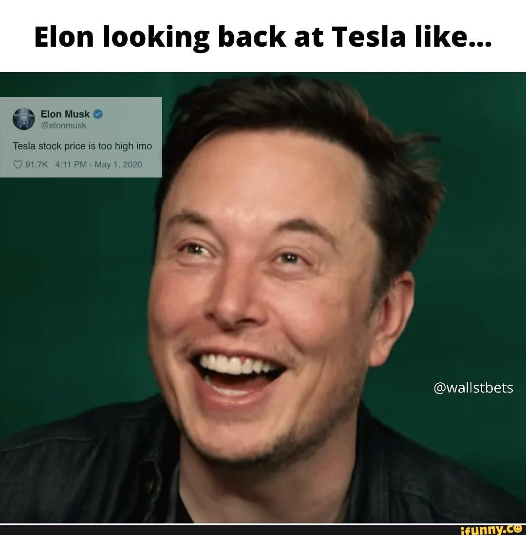 Elon looking back at Tesla like... Elon Musk Tesla stock price is too ...