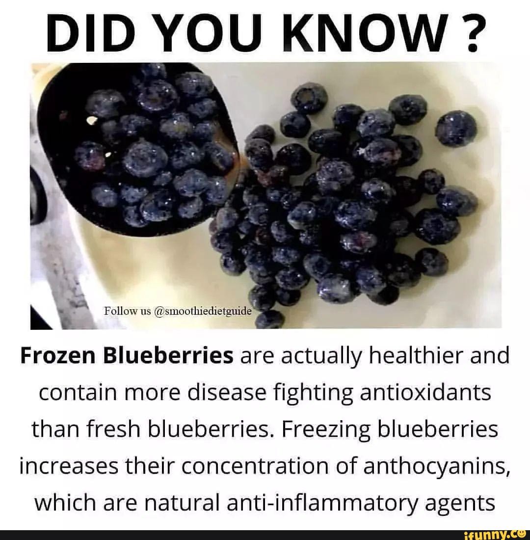 DID YOU KNOW ? Follow us smoothiedietguide Frozen Blueberries are