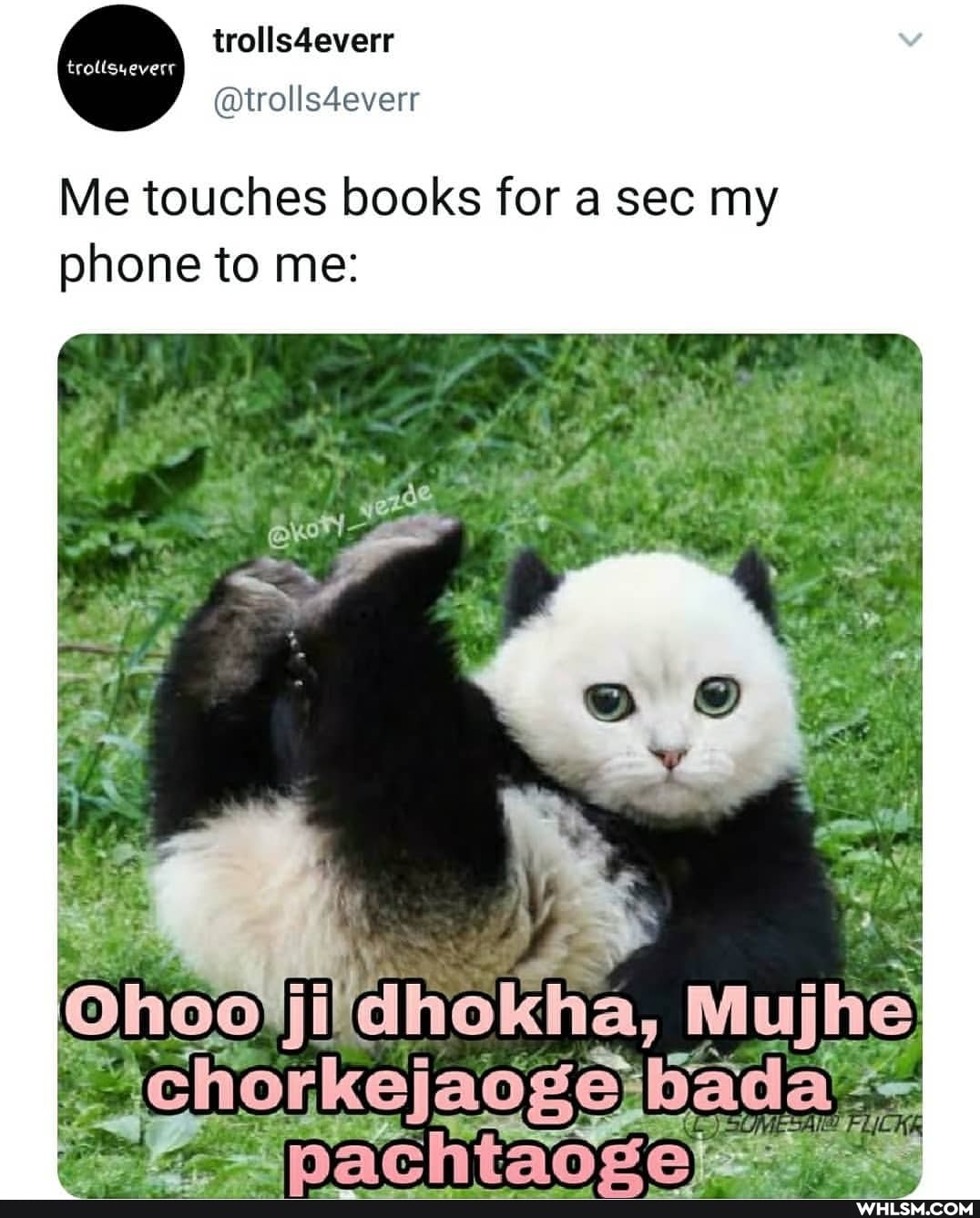 @trolls4everr
Me touches books for a sec my phone to me:
ho