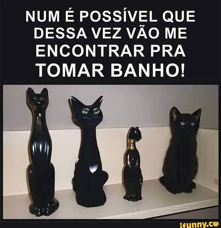 NUM É POSSÍVEL QUE DESSA VEZ VÃO ME ENCONTRAR PRA
TOMAR BANHO!