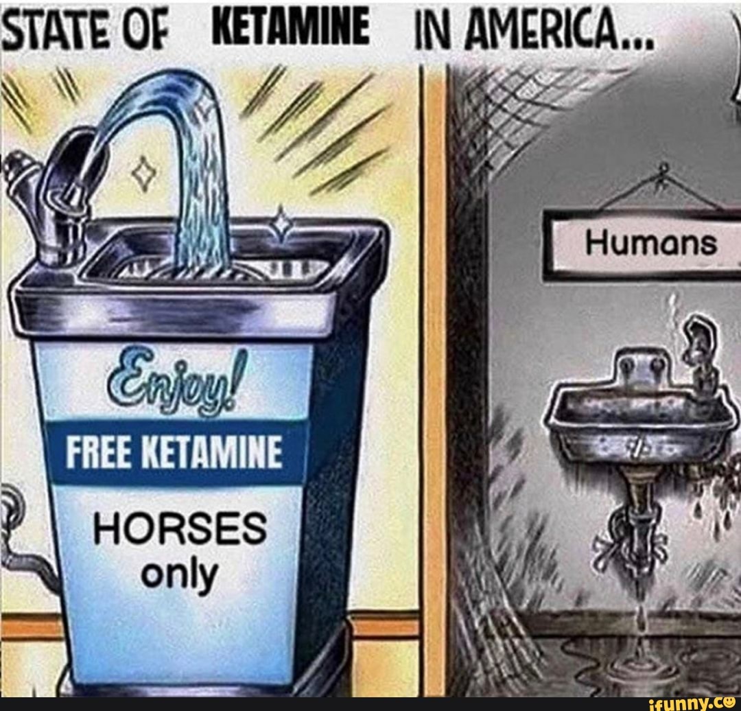 STATE OF METAMINE IN AMERICA...
FREE KETAMINE
HORSES only