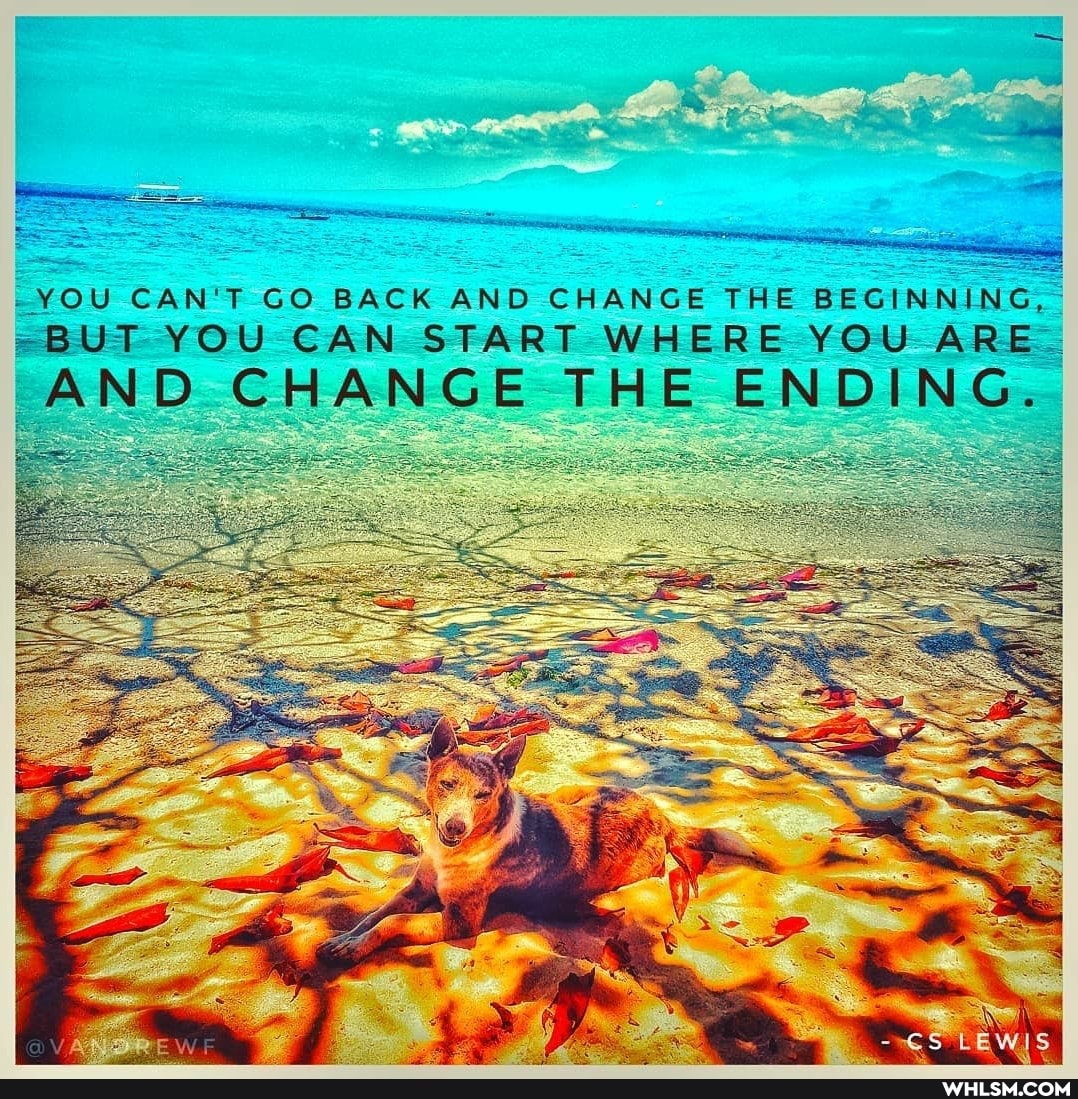 -YOU CAN'T GO BACK AND CHANGE THE BEGINNING,
=BUT YOU CAN START WHERE YOU ARE
AND CHANGE THE ENDING.