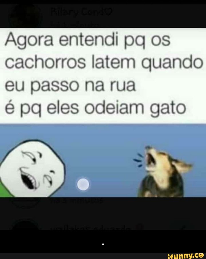 Agora entendi pq os
cachorros latem quando
eu passo na rua
é pq eles odeiam gato - .