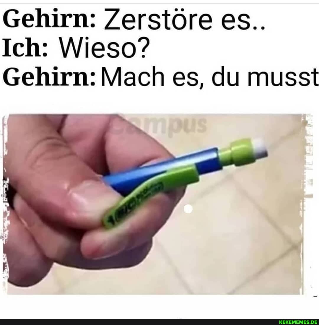 Gehirn: Zerstöre es..
Ich: Wieso?
Gehirn: Mach es, du musst