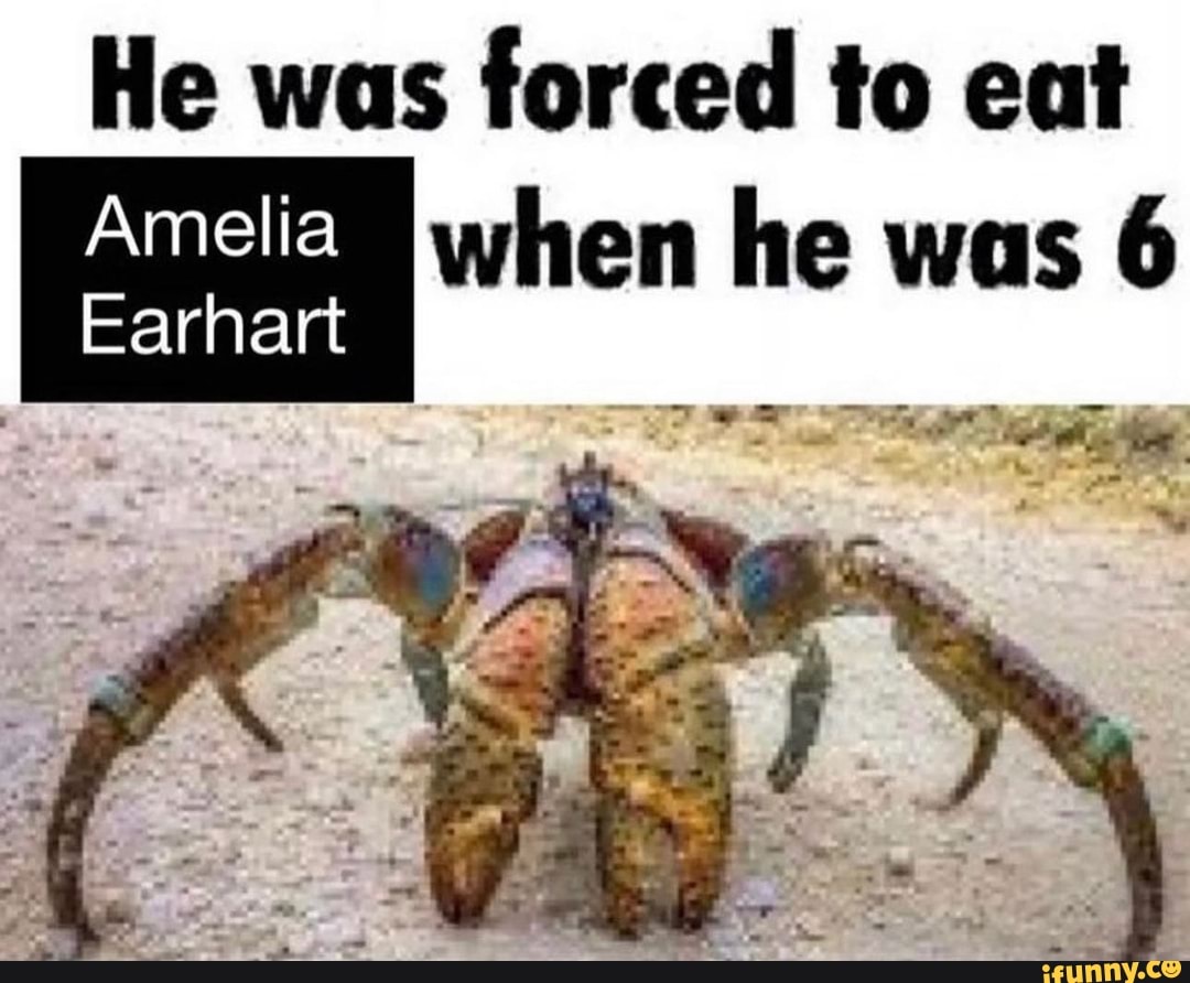 He was forced to eat when he was 6 Amelia Earhart I I - iFunny