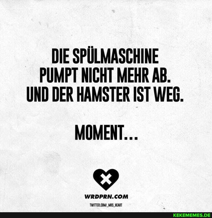 DIE SPÜLMASCHINE PUMPT NICHT MEHR AB.
UND DER HAMSTER IST WEG.
MOMENT...