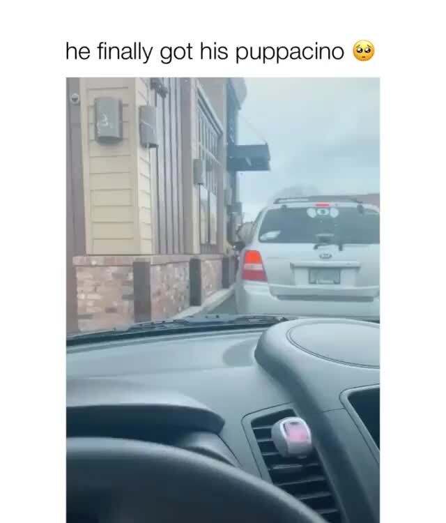 he finally got his puppacino "3