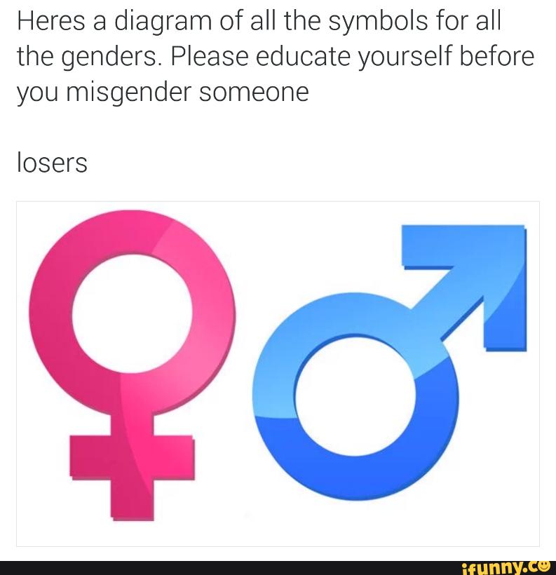 Heres A Diagram Of All The Symbols For All The Genders Please Educate