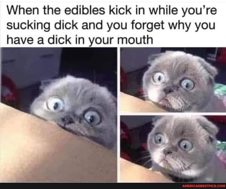 Is sucking a penis bad
