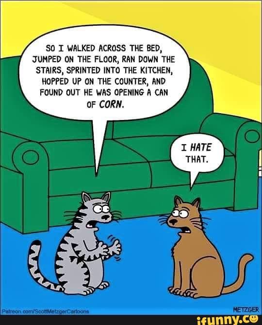 #cartoon #cats #catmemes #funny - SO I WALKED ACROSS THE BED, JUMPED ON ...