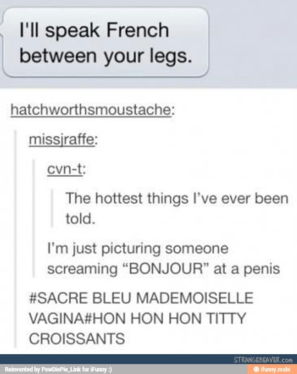 I Vl speak French
I between your legs.
hatchworthsmoustache:
missiraffe:
The hottest things I've ever been
told.
I'm just picturing someone
screaming "BONJOUR?" at a penis
#SACRE BLEU MADEMOISELLE
VAGINA#HON HON HON TITTY
CROISSANTS