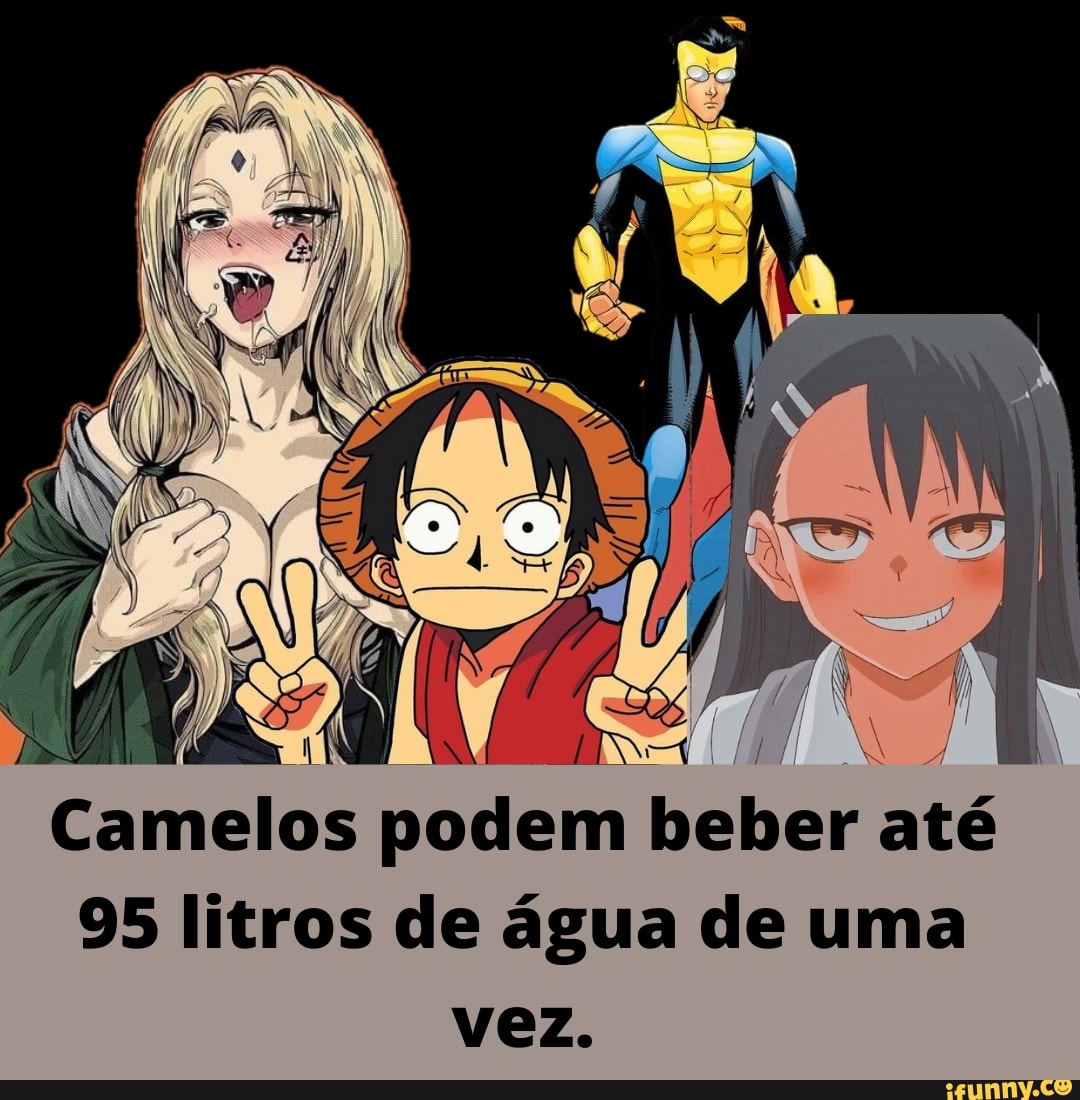A ds
Camelos podem beber até
95 litros de água de uma vez.