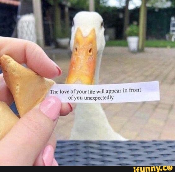 The love of your life will appear in front of you unexpectedly