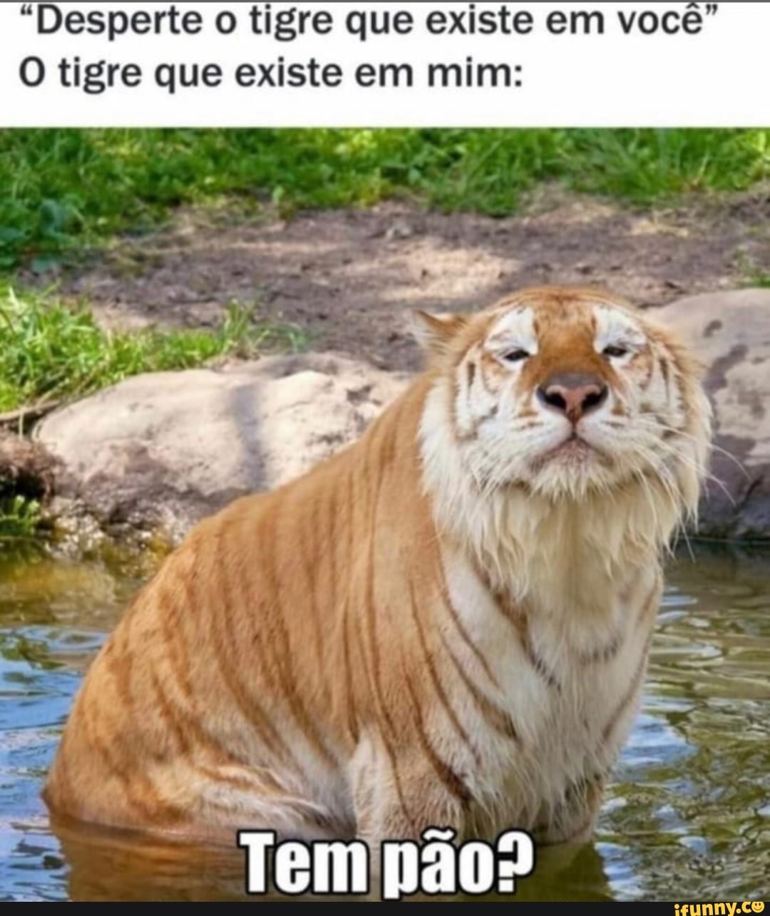 "Desperte o tigre que existe em você"
O tigre que existe em mim:
Tem pão?