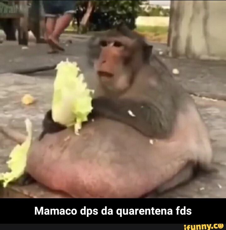ES
Mamaco dps da quarentena fds - Mamaco dps da quarentena fds