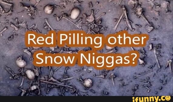 other
Red Pill ing
Nigggk
