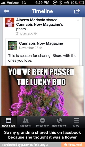 So my grandma shared this on facebook because she thought it was a flower