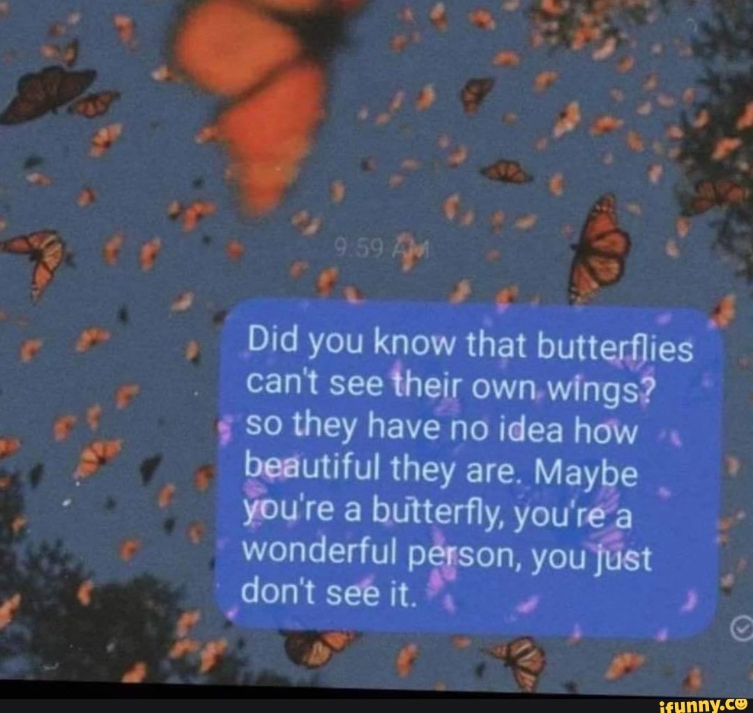 Did You Know That Butterflies Cant See Their Own Wings Wings Quotes