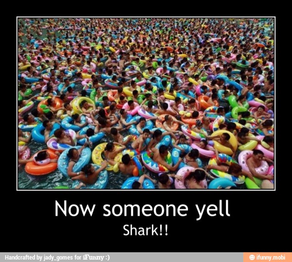Now someone yell
SETS - Now someone yell
Shark!!