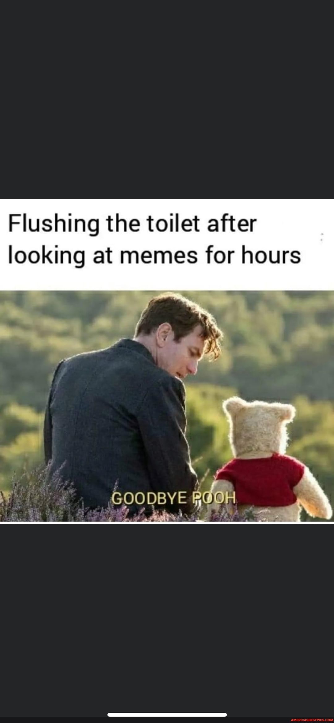 Flushing the toilet after looking at memes for hours America’s best