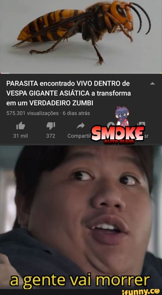 PARASITA encontrado VIVO DENTRO de a
VESPA GIGANTE ASIATICA a transforma
em um VERDADEIRO ZUMBI
575.301 visualizações 6 dias atrás
abgente vai morrer