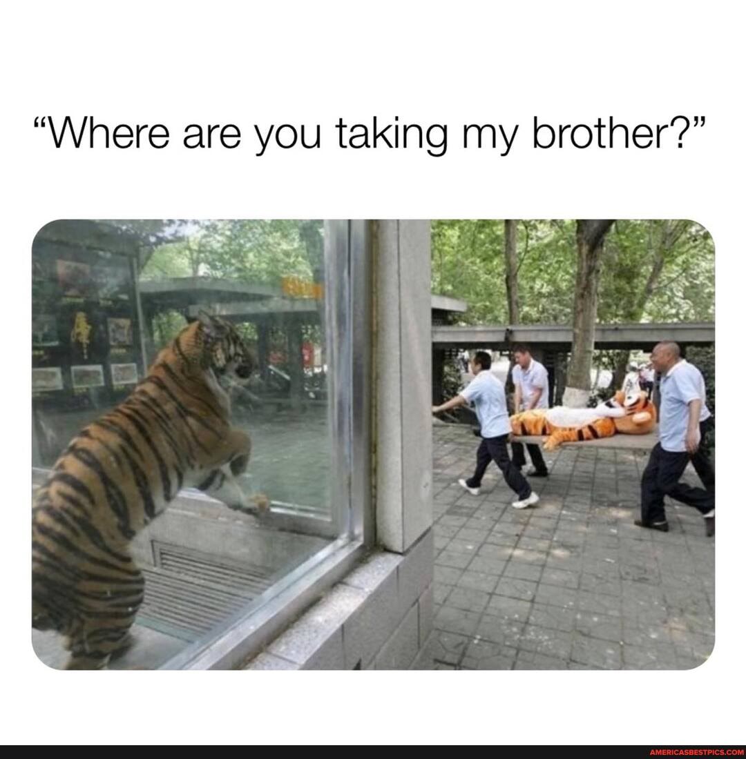 "Where are you taking my brother?"