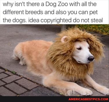 why isn't there a Dog Zoo with all the different breeds and also you can pet the dogs. idea copyrighted do not steal