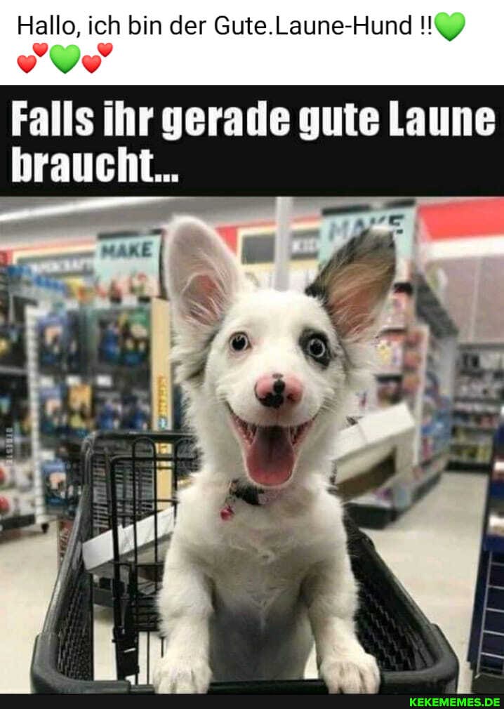 Hallo, ich bin der Gute.Laune-Hund !!9
Falls ihr gerade gute Laune braucht...
ja