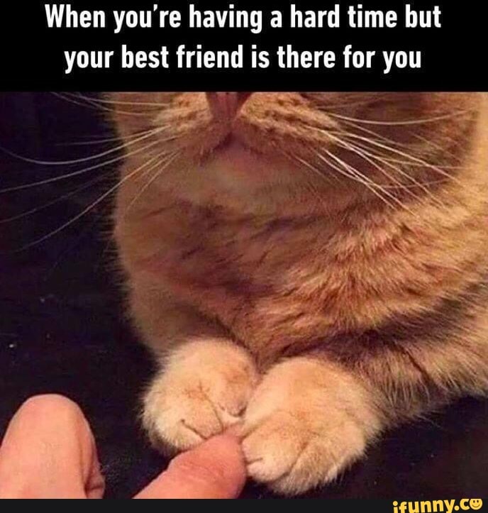 When you're having a hard time but
your best friend is there for you