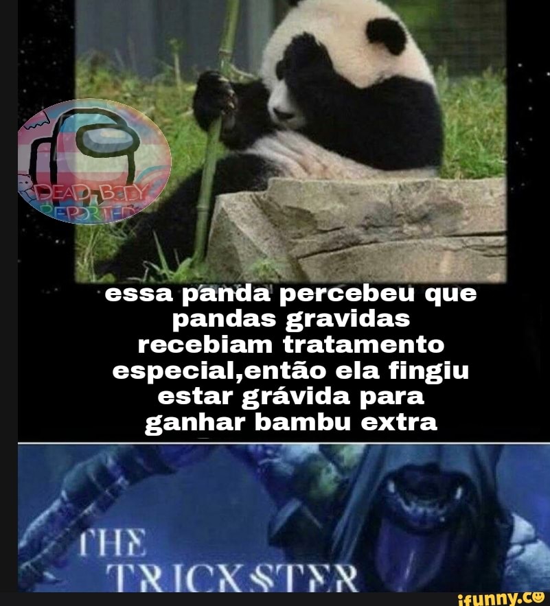 essa panda percebeu que pandas gravidas recebiam tratamento especial, ,então ela fingiu estar grávida para ganhar bambu extra
HE