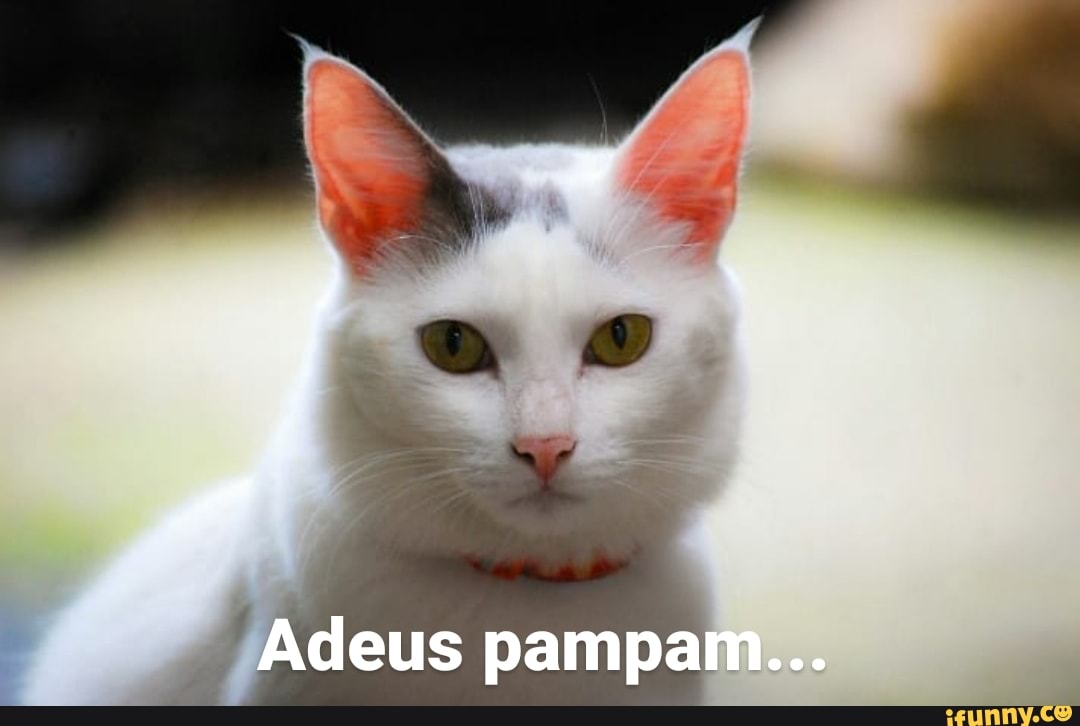 Adeus pampam...