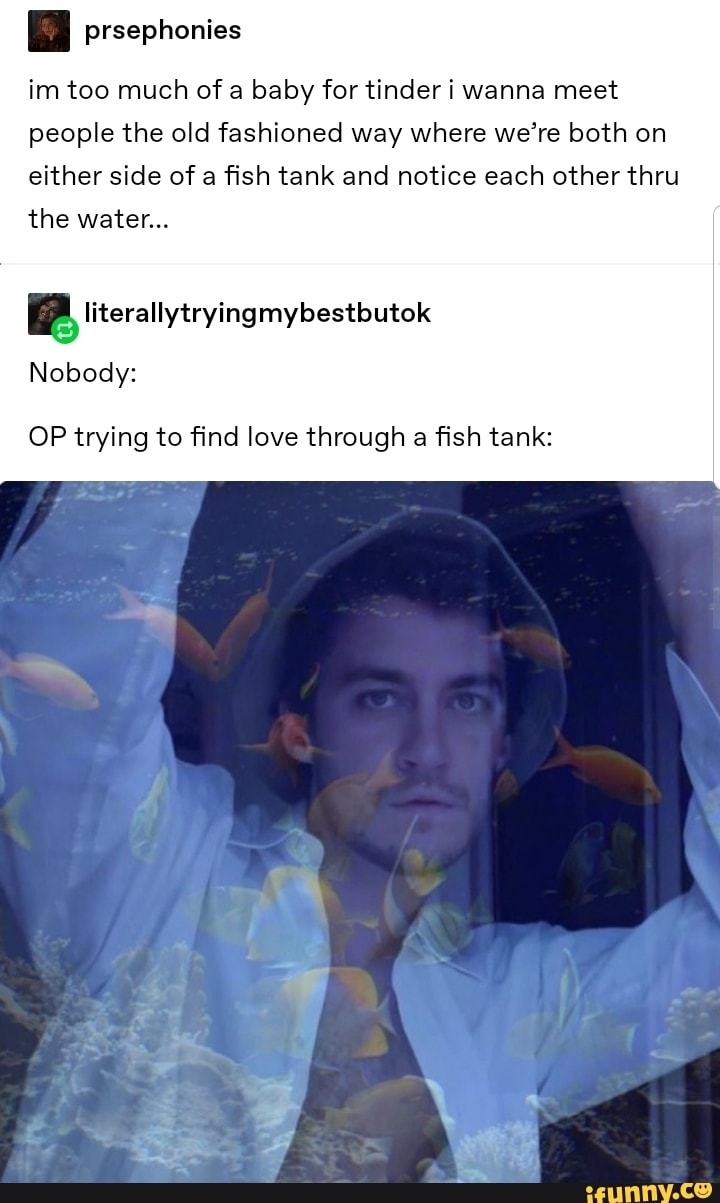 im too much of a baby for tinder i wanna meet
people the old fashioned way where we’re both on
either side of a fish tank and notice each other thru
the water...
& Iiterallytrying mybestbutok
OP trying to find love through a fish tank:
