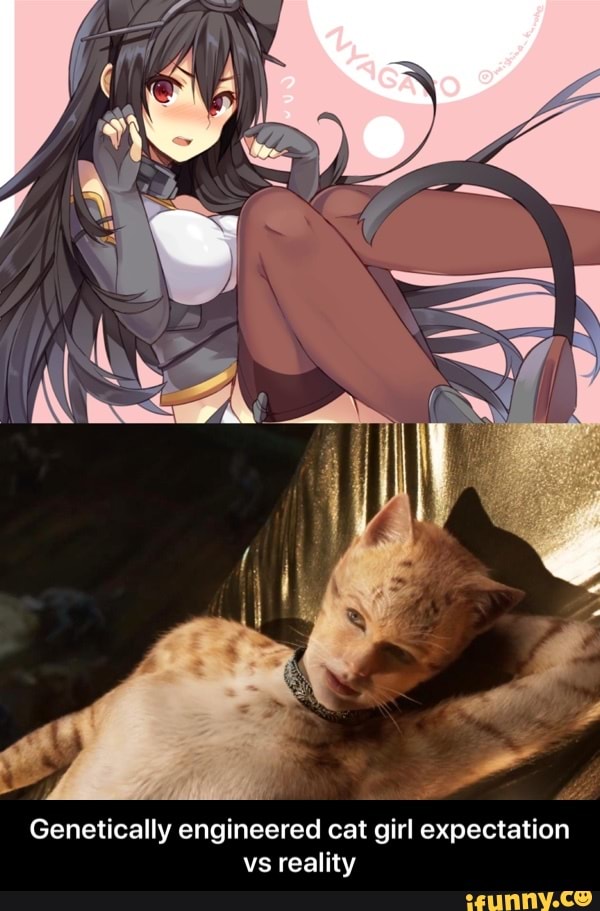 anime cat girls irl : r/memes