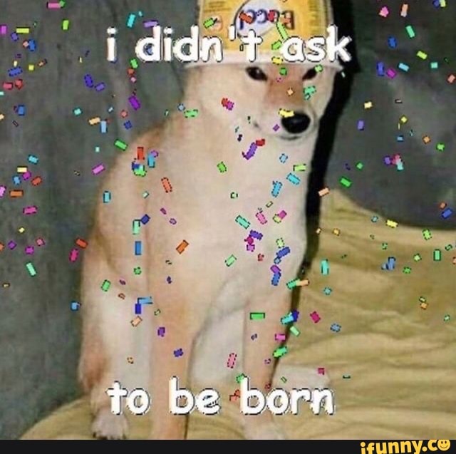 Didn T Ask To Be Born