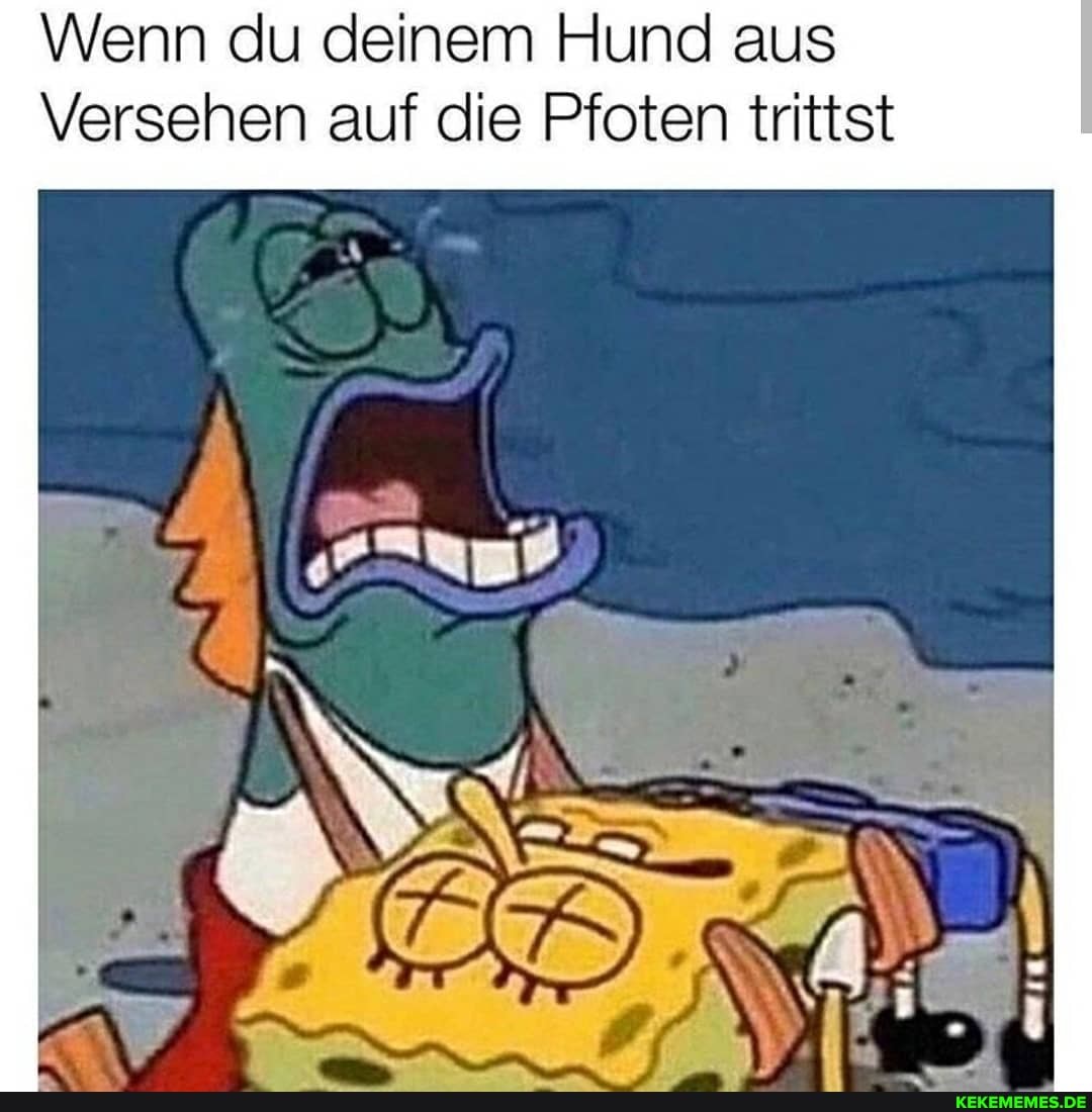 \Wenn du deinem Hund aus
Versehen auf die Pfoten trittst
NT